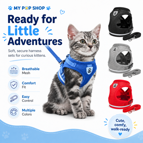 Cat Harness with Leash, Breathable Mesh Kitten Harness Set, Soft Adjustable Pet Vest Harness for Kittens & Small Cats, Comfortable Walking Harness with Lead, Multiple Colors